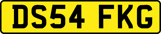 DS54FKG