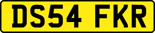 DS54FKR