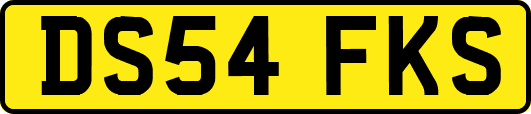 DS54FKS