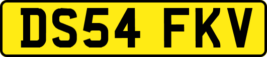 DS54FKV