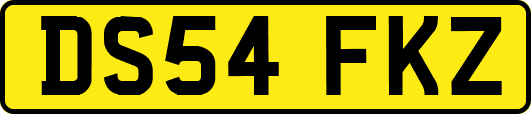 DS54FKZ