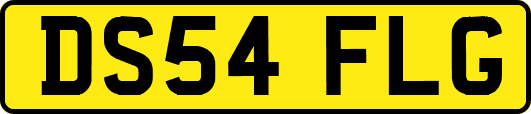 DS54FLG