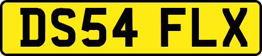 DS54FLX