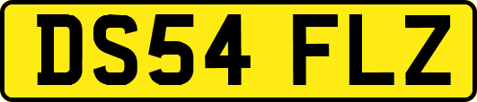 DS54FLZ