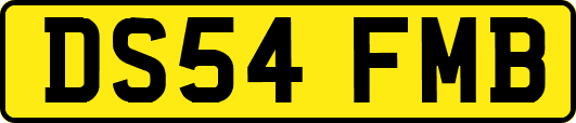 DS54FMB