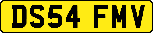 DS54FMV