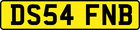 DS54FNB