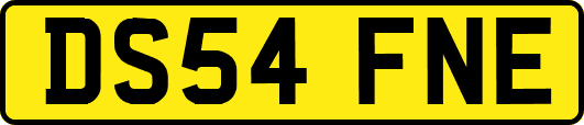 DS54FNE