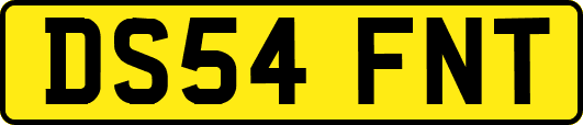 DS54FNT