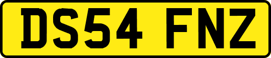 DS54FNZ