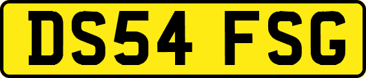 DS54FSG