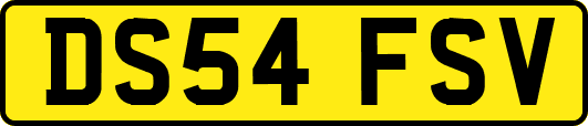 DS54FSV
