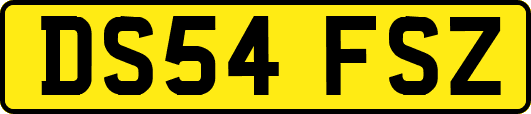 DS54FSZ