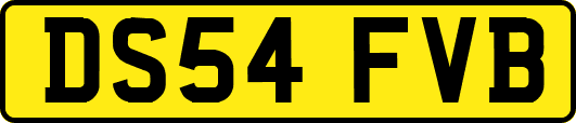 DS54FVB