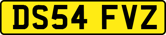 DS54FVZ