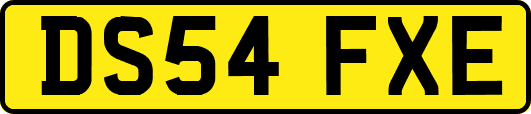DS54FXE