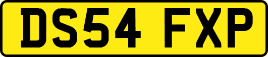 DS54FXP