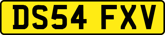 DS54FXV