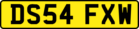 DS54FXW