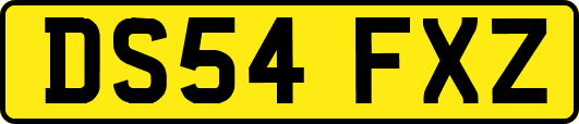 DS54FXZ