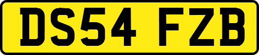 DS54FZB