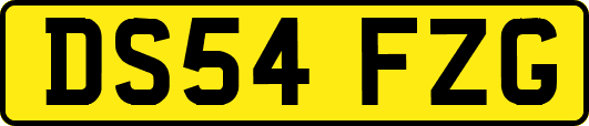DS54FZG
