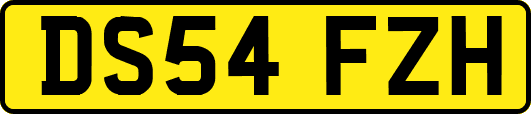 DS54FZH