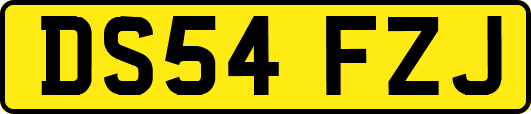 DS54FZJ