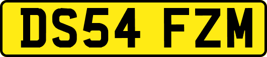 DS54FZM