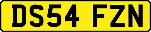 DS54FZN