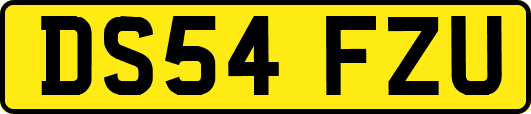 DS54FZU