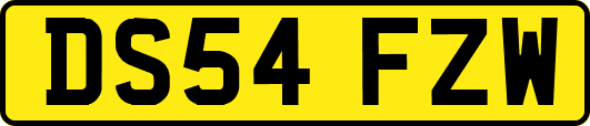DS54FZW