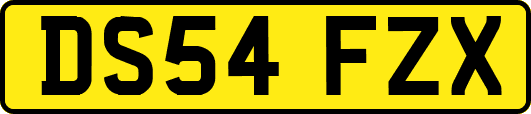 DS54FZX
