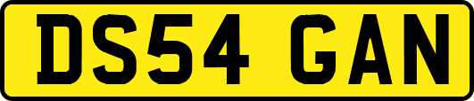 DS54GAN