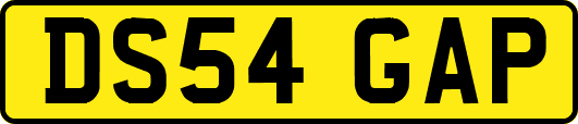 DS54GAP