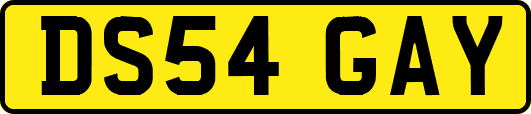 DS54GAY