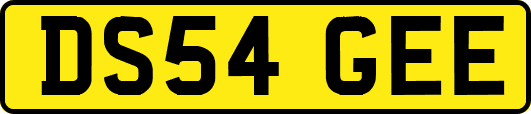 DS54GEE