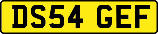 DS54GEF