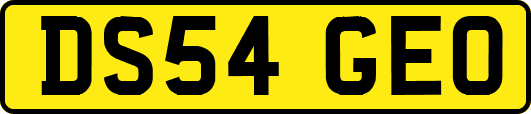 DS54GEO
