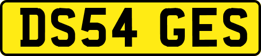 DS54GES