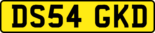 DS54GKD