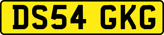 DS54GKG