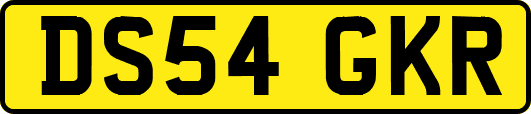 DS54GKR