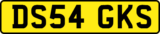 DS54GKS