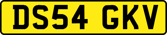 DS54GKV