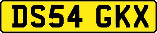 DS54GKX