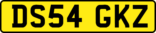 DS54GKZ