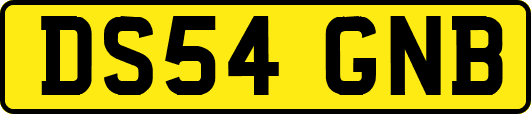 DS54GNB