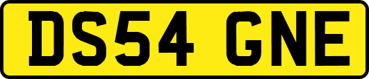 DS54GNE