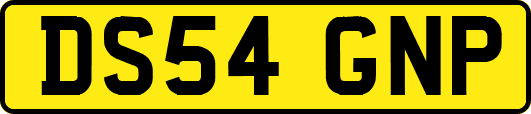 DS54GNP